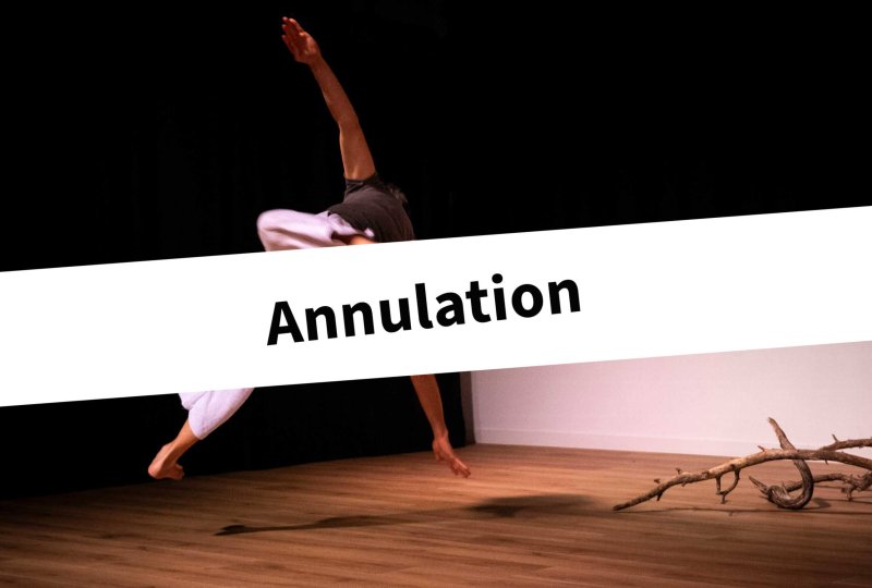 Annulation-Animaginal-BDef