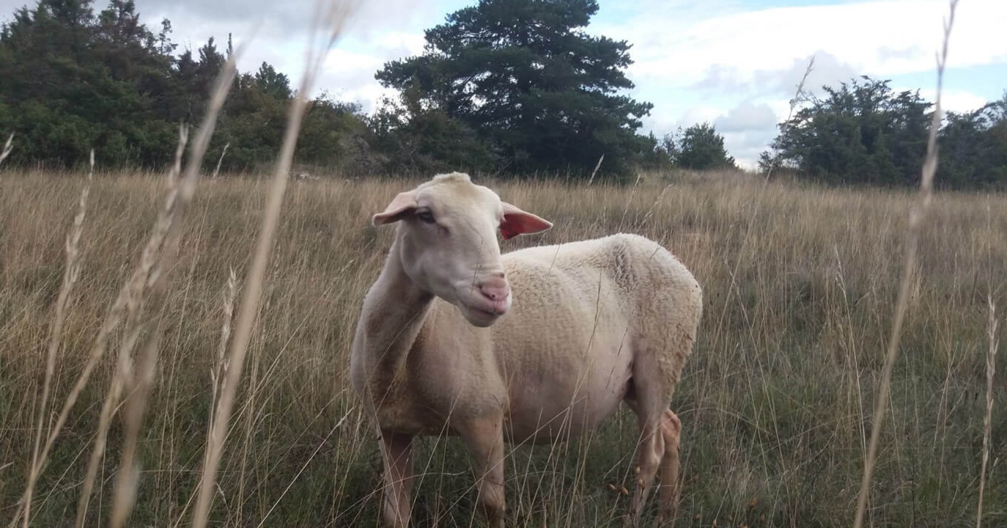 Larzac !