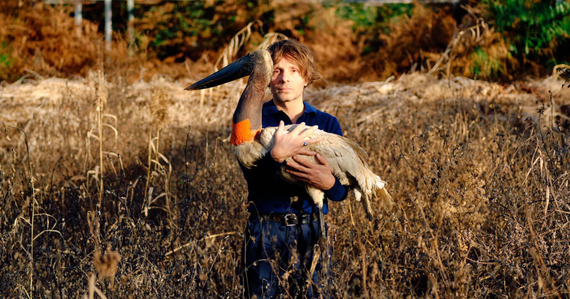 Concert Nicolas Jules - Théâtre Les Aires de Die