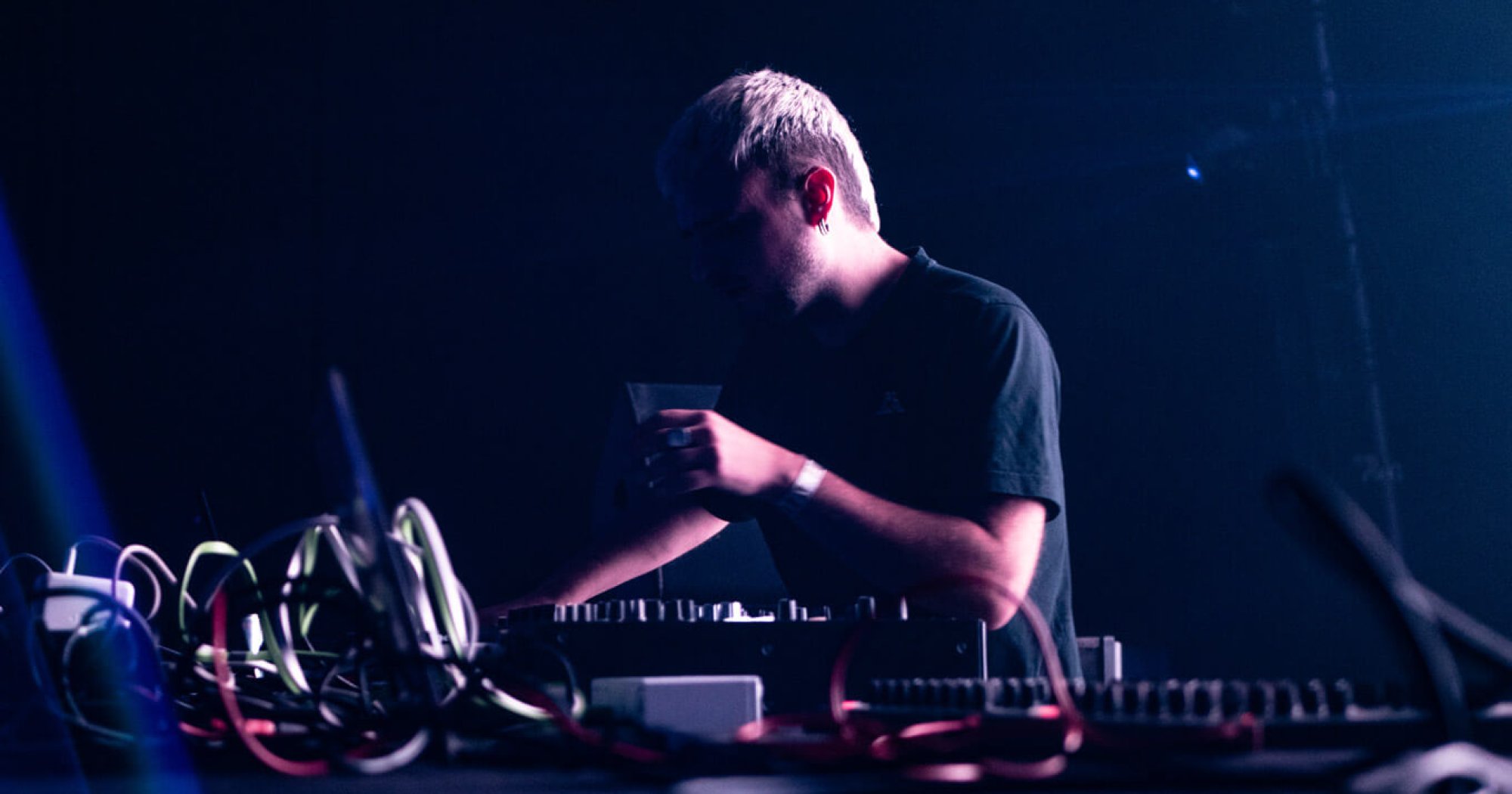 Bandikoot (Warless Sound System)