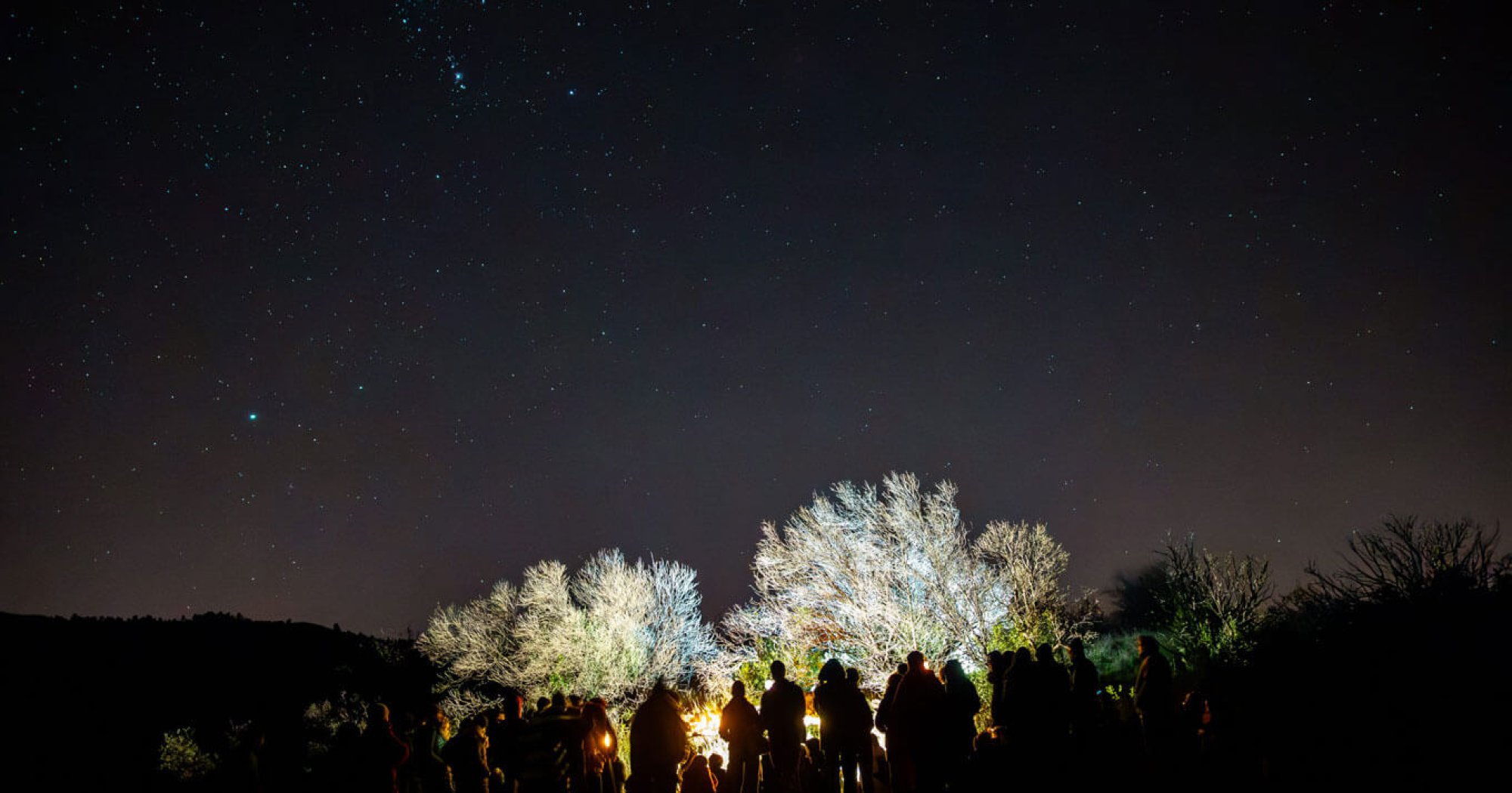 Croire aux Fauves - Les Arts Oseurs - Théâtre Les Aires de Die
