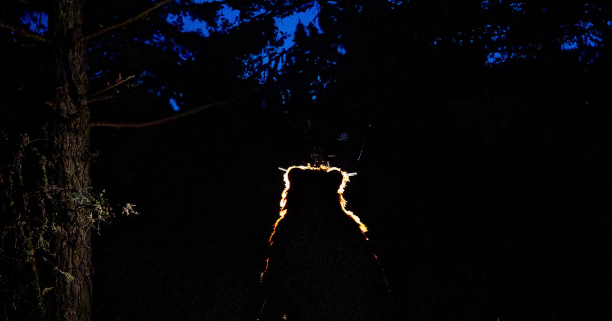 Croire aux Fauves - Les Arts Oseurs - Théâtre Les Aires de Die