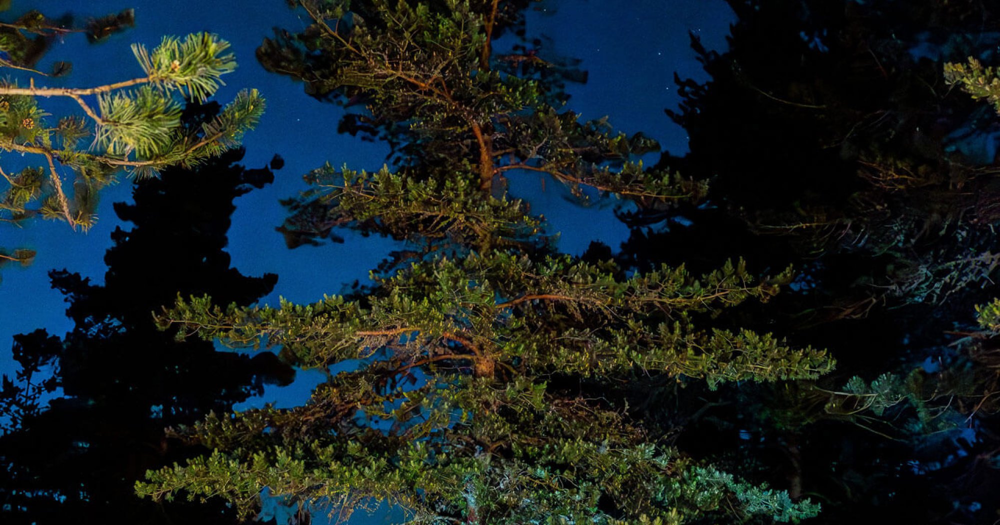 Croire aux Fauves - Les Arts Oseurs - Théâtre Les Aires de Die