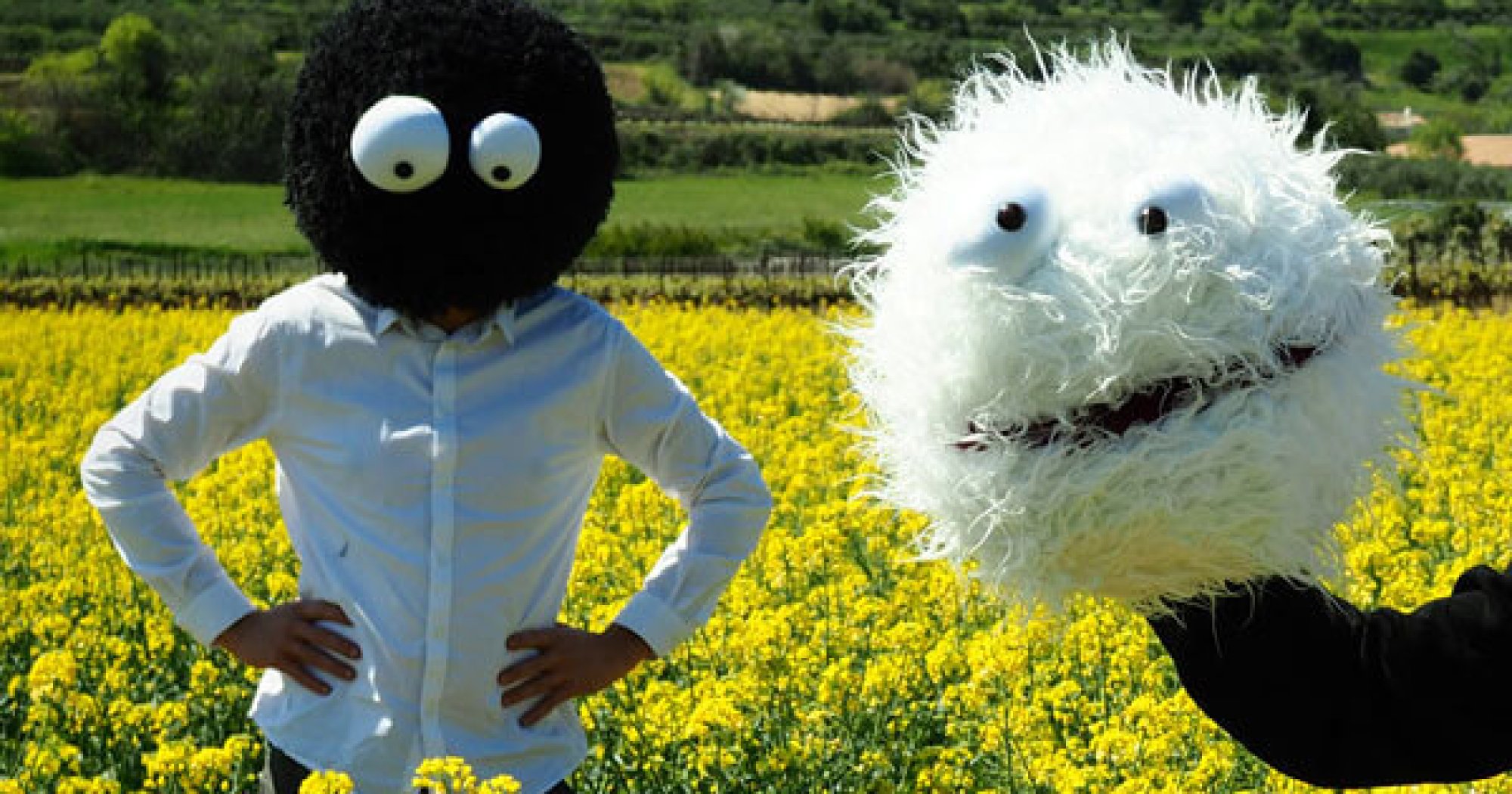 muppets-rapsody-web